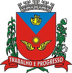 Brasao Artur Nogueira